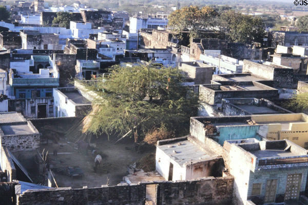 Roofs of village of Roopangarth. India.
