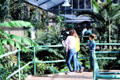 Tropical vegetation in Melbourne Zoo Butterfly House. Melbourne, Australia.