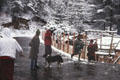 Monks having a snowball fight in Thimpu. Bhutan.