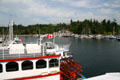 Constitution sternwheeler tour boat against Stanley Park small craft harbour. Vancouver, BC.