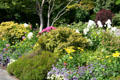 Flowers & bushes at Stanley Park Rose Garden. Vancouver, BC.