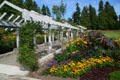 Pergola at Stanley Park Rose Garden. Vancouver, BC.