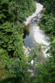 Stream beneath Capilano Suspension Bridge. Vancouver, BC.