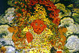 Mural of a deity in Sera Monastery, outside of Lhasa, Tibet. China.