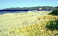Sandy beach at Santa Rosa National Park. Costa Rica.
