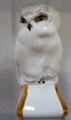 Short-eared owl figurine by Wilhelm Krieger for Hutschenreuther at German Hunting & Fishing Museum. Munich, Germany.