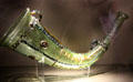 Glass Drinking Horn at New Aachen City Museum. Aachen, Germany.