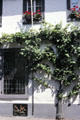 Vine and flower boxes on village building. Zons, Germany.