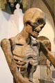 Skeletal detail of Death riding a lion sculpture from Kloster Heilsbronn at Bavarian National Museum. Munich, Germany.