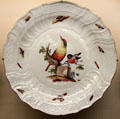 Meissen porcelain plate with "Neubrandenstein" rim relief & painted bird decor at Meissen porcelain museum at Lustheim Palace. Munich, Germany.
