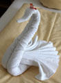 Bath towel folded into shape of swan. Füssen, Germany.