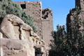 Processional row of carved rams at Temple of Karnak. Egypt