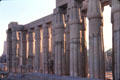 Papyrus-style columns at Temple of Karnak. Egypt