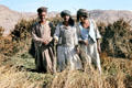 Henna stompers south of Esna. Egypt