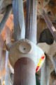 Column detail at Sagrada Familia. Barcelona, Spain.