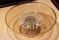 Catalan glass bowl at Museu d'Arqueologia de Catalunya. Barcelona, Spain.
