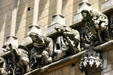 Fantastical gargoyles on Notre Dame church. Dijon, France.