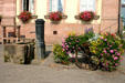 Flowers & water pump. Riquewihr, France.