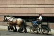 Horse & carriage. Strasbourg, France.