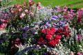 Flower bed at Luxembourg Gardens. Paris, France.