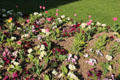 Flower bed at Place du Châtelet. Paris, France.