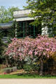 Flowering trees in Jardins des Champs Elysees. Paris, France.