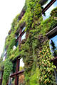 Living green wall by Patrick Blanc at Musée du quai Branly. Paris, France.
