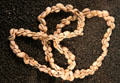 Mesolithic necklace from local region at Archeology Museum of Morbihan. Vannes, France.