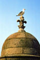 Gull perched atop bastion fleur-de-lis. St Malo, France.