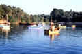 Boats resting in harbor. Gulf of Morbihan, France.
