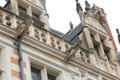 Detail of gargoyles on Alluye town house. Blois, France.