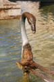 Fountain spout in form of goose by Antoine Laurent Dantan on Arles Obelisk pedestal. Arles, France.
