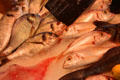 Range of fish at vegetable market. Aix-en-Provence, France.