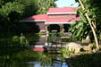 Pond at Deshaies Botanic Gardens. Deshaies, Guadeloupe.