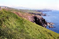 Rugged coastline at Dingle Peninsula. Ireland.