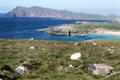 Coastline of Dingle Peninsula. Ireland.