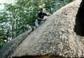 Roof thatching at Bunratty folk park. Ireland