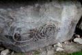 Neolithic carved stone designs at Knowth. Ireland.