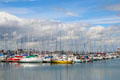 Pleasure craft at Howth harbor. Howth, Ireland.