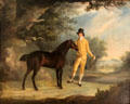 Paddy Whack painting by Thomas Robinson at National Gallery of Ireland. Dublin, Ireland.