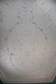Rococo ceiling in family withdrawing room at Rathfarnham Castle. Dublin, Ireland.