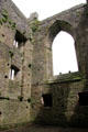 Nave of Tintern Abbey. Ireland.