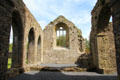 Church ruins at Kells Priory. Ireland