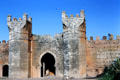 Muslim architecture of medieval Chellah necropolis entrance. Rabat, Morocco.