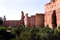 Storks nesting on ruins of Badi Palace. Marrakesh, Morocco.