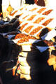 Dates offered in souk. Marrakesh, Morocco.