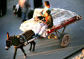 Donkey cart with carpets. Marrakesh, Morocco.