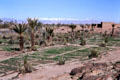 Scene near Skoura. Morocco.