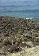 Undeveloped coastline in Baja California south of Tijuana. Mexico.