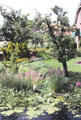 Garden by canal in Westbroek. Westbroek, Netherlands.